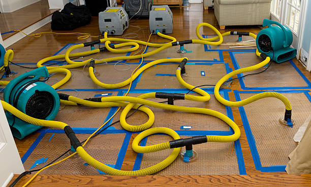 Professional Crawl Space Water Removal technician working in Gotha, FL